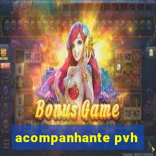 acompanhante pvh